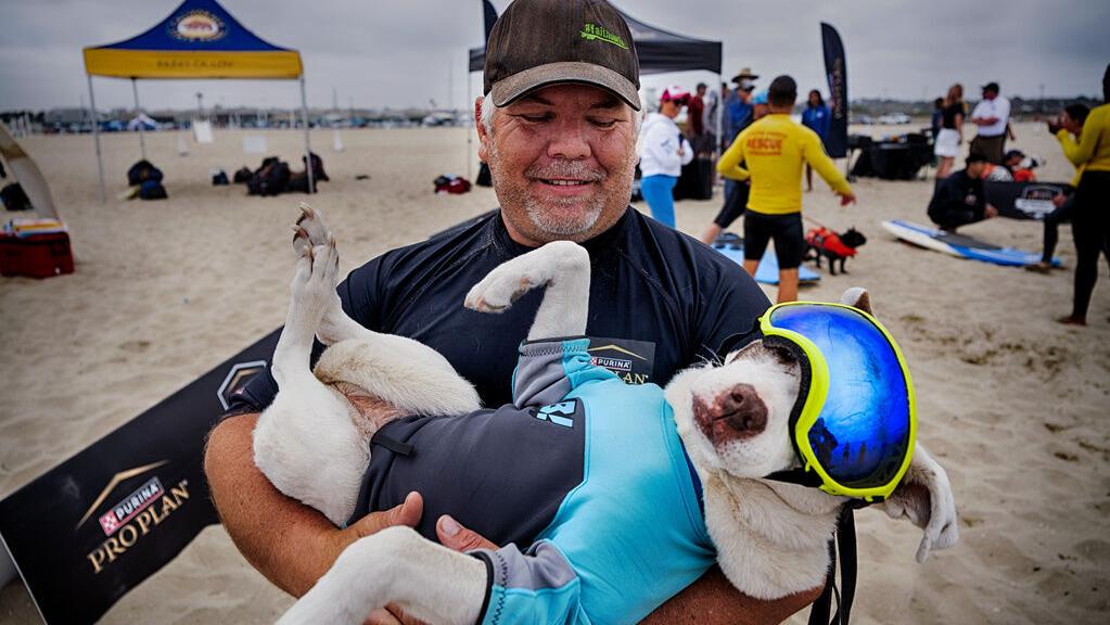 Photos: Top surfing dogs catch waves at Huntington Beach
